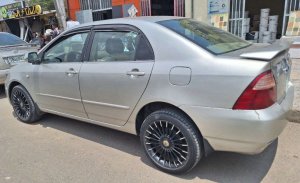 Toyota Land Cruiser 2006 exterior